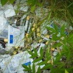 medical-waste-found-on-pei.-property-owned-by-group-with-ties-to-buddhist-community