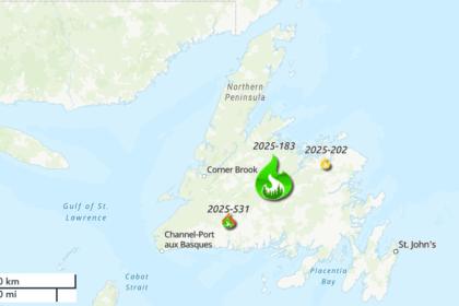 fire-ban-in-place-as-wildfire-risk-deemed-high-or-extreme-across-most-of-nl