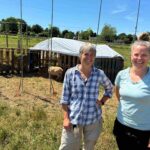 researchers-looking-at-ways-to-reduce-carbon-emissions-in-apple-orchards