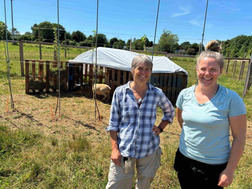 researchers-looking-at-ways-to-reduce-carbon-emissions-in-apple-orchards