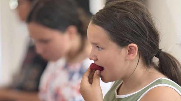 celebrating-menstruation-through-a-strawberry-ceremony