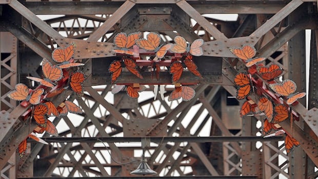 monarch-butterfly-sculptures-on-fredericton-bridge-send-environmental-message