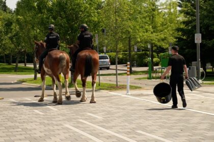 city-says-it-has-a-plan-to-clean-up-after-the-ottawa-police-service’s-new-mounted-unit