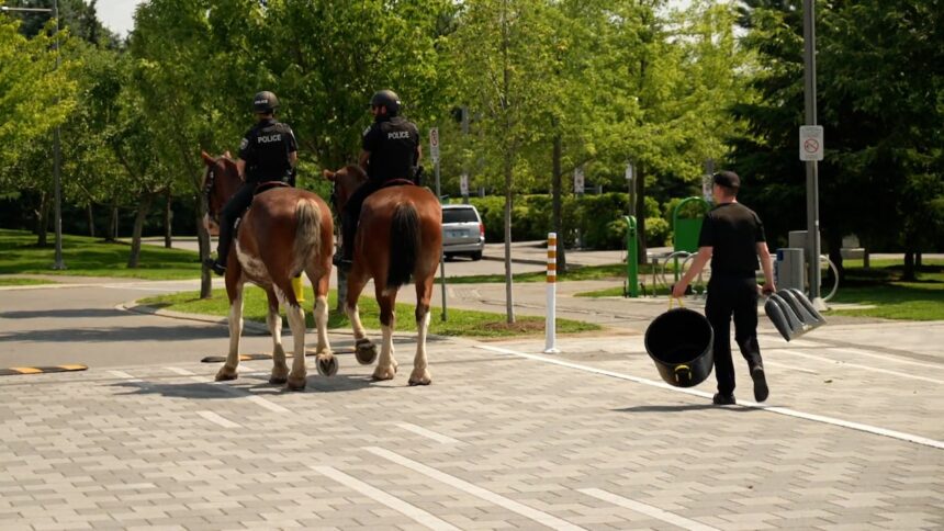 city-says-it-has-a-plan-to-clean-up-after-the-ottawa-police-service’s-new-mounted-unit