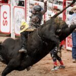 sask.-teen-makes-big-mark-heading-into-calgary-stampede-bull-riding-final