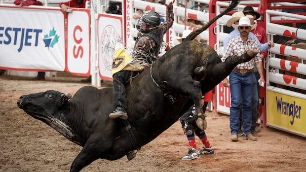 sask.-teen-makes-big-mark-heading-into-calgary-stampede-bull-riding-final