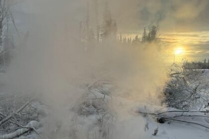 nearly-one-third-of-forests-in-northeast-bc.-could-burn-by-year’s-end:-province