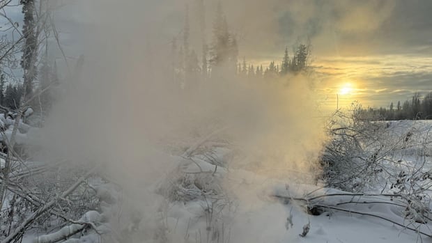 nearly-one-third-of-forests-in-northeast-bc.-could-burn-by-year’s-end:-province