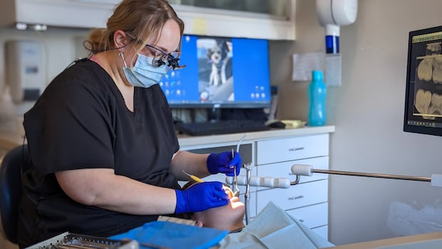 half-of-requests-for-complex-dental-work-are-being-rejected-under-national-insurance-plan