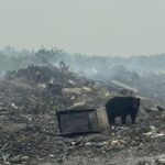 3-of-4-island-lake-communities-under-states-of-emergency-due-to-manitoba-wildfires