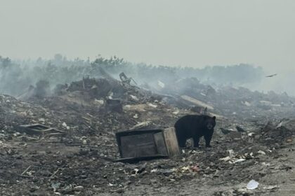 3-of-4-island-lake-communities-under-states-of-emergency-due-to-manitoba-wildfires