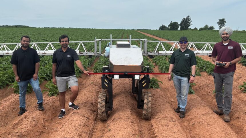 potato-virus-robot-being-honed-for-a-2nd-summer,-to-do-a-job-fewer-humans-are-applying-for-on-pei.