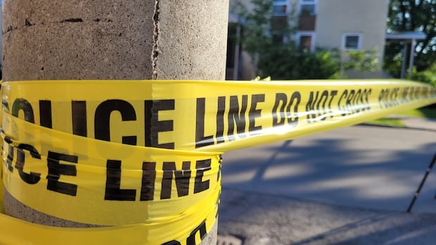 woman-critically-hurt-by-falling-tree-in-almonte-has-died