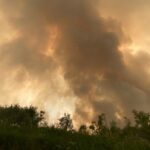 pa-national-park-among-areas-put-on-alert-as-wildfires-in-sask.-grow