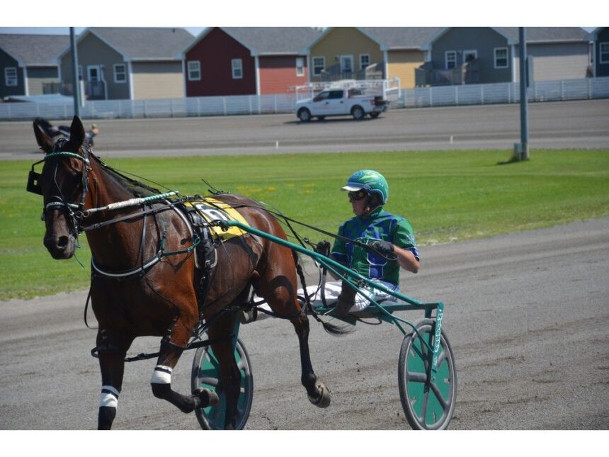 as-part-of-governors-plate-week-harness-racing-in-summerside