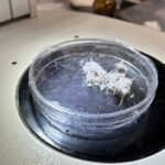 new-asbestos-handling-standards-coming-for-manitoba-workers