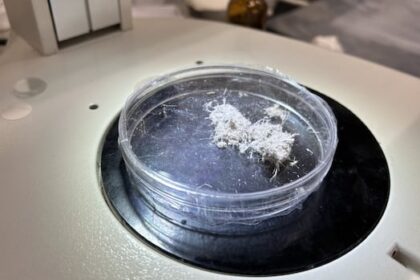 new-asbestos-handling-standards-coming-for-manitoba-workers