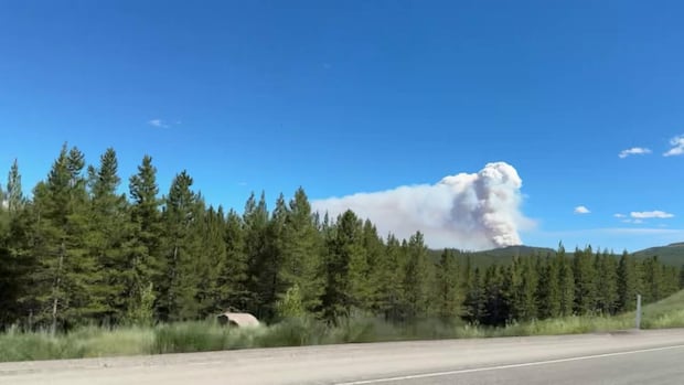 wildfire-near-princeton,-bc.,-sees-evacuation-order-downgraded-to-an-alert
