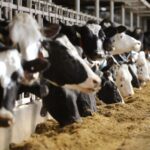 sylvain-charlebois:-everyones-suddenly-a-supply-management-expert-but-few-understand-it