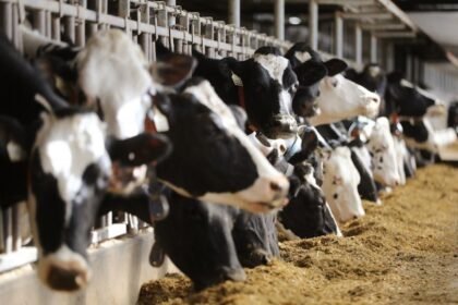 sylvain-charlebois:-everyones-suddenly-a-supply-management-expert-but-few-understand-it