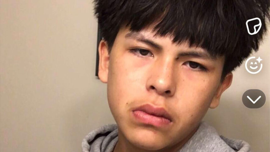 mother-of-missing-edmonton-teen-samuel-bird-says-she-received-graphic-videos-of-her-son