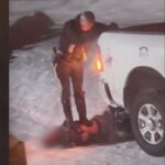 no-charges-for-manitoba-rcmp-officers-who-tasered-man,-stood-on-his-chest-after-he-resisted-arrest:-watchdog