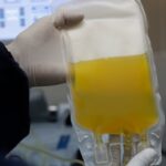 equipment-failure-at-winnipeg-clinic-caused-blood-plasma-donor’s-kidney-injury,-lawsuit-alleges
