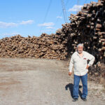 land-grab-quebecs-forestry-reforms-meet-widespread-resistance