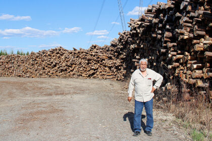 land-grab-quebecs-forestry-reforms-meet-widespread-resistance