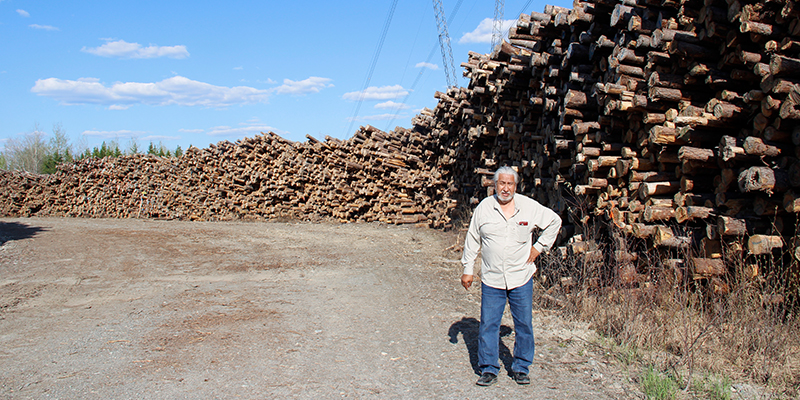 land-grab-quebecs-forestry-reforms-meet-widespread-resistance