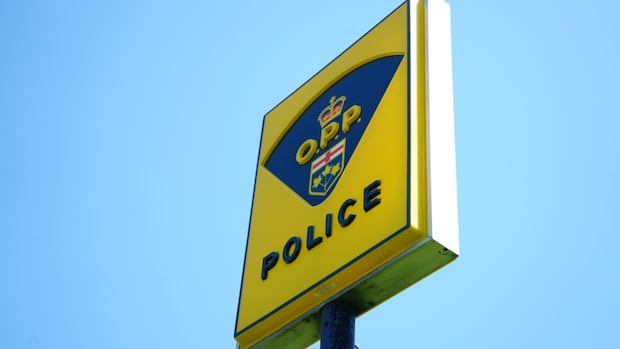 97-year-old-pedestrian-killed-in-crash-in-prince-edward-county
