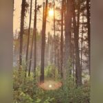 power-restored-to-6-northwestern-ontario-first-nations-after-4-day-outages-due-to-wildfires