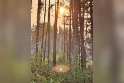 power-restored-to-6-northwestern-ontario-first-nations-after-4-day-outages-due-to-wildfires
