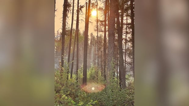 power-restored-to-6-northwestern-ontario-first-nations-after-4-day-outages-due-to-wildfires