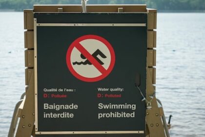 ncc-investigating-hydrocarbon-spill-in-lac-leamy