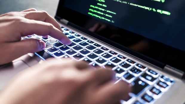 consultant-who-notified-manitoba-ombudsman-about-‘grossly-mismanaged’-it-project-sues-province