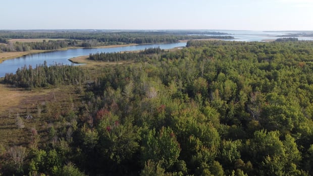 western-pei.-family-donates-32-hectares-to-island-nature-trust-in-honour-of-their-parents