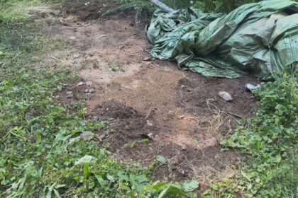 questions-remain-after-live-grenade-thrown-on-dartmouth-lawn