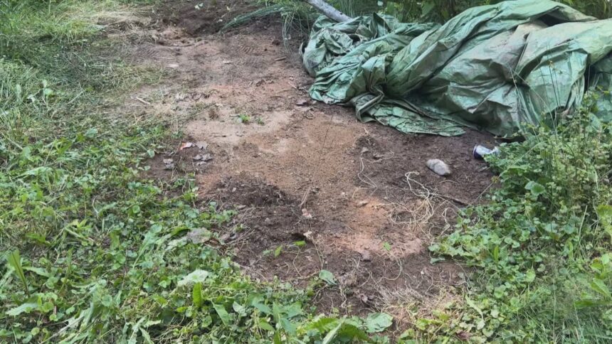 questions-remain-after-live-grenade-thrown-on-dartmouth-lawn