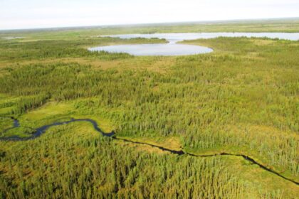 logging-in-ontarios-boreal-forest-is-far-in-excess-of-whats-sustainable,-study-finds