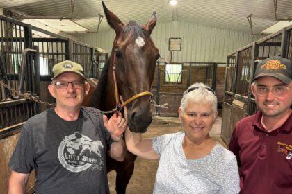 ‘exciting’-horse-overcomes-string-of-bad-draws-to-become-a-fan-favourite-on-pei.