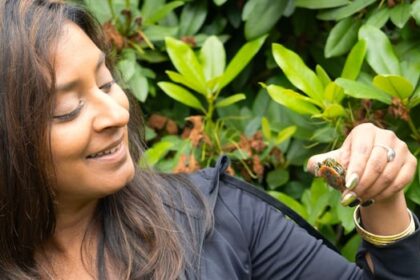 slow-and-steady-progress-in-decade-long-project-to-save-bc.’s-only-native-turtle