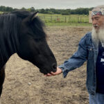 red-river-metis-man-on-mission-to-save-ojibwe-spirit-horses-through-scrap-metal