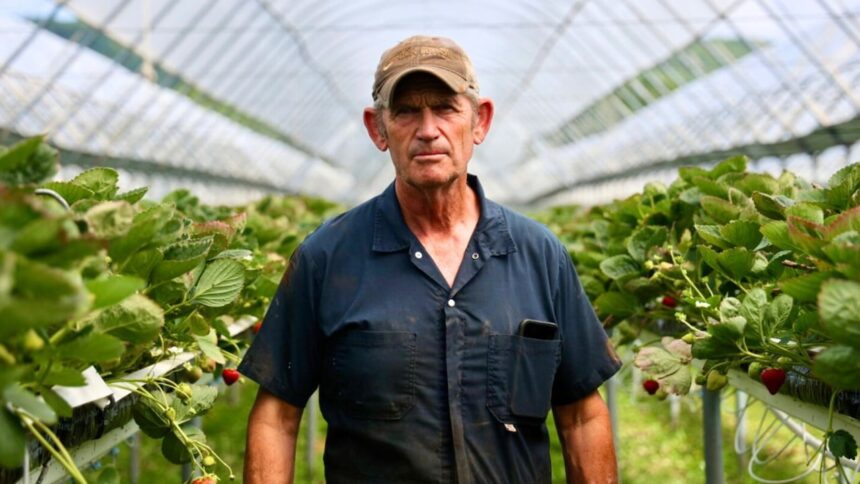heat-wave-keeping-nova-scotia-farmers-busy