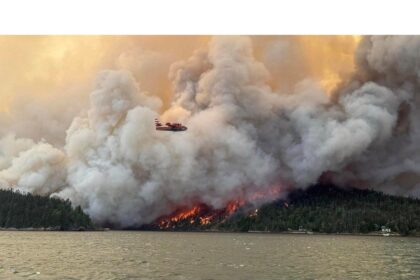 crews-continue-to-fight-chance-harbour-forest-fire-on-multiple-fronts
