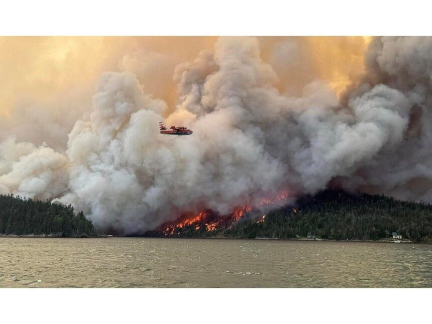 crews-continue-to-fight-chance-harbour-forest-fire-on-multiple-fronts