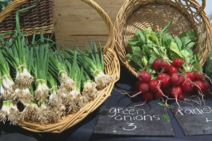mabou-farmers’-market-celebrates-18th-anniversary