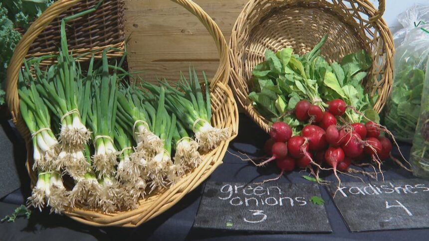 mabou-farmers’-market-celebrates-18th-anniversary