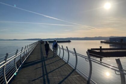 victoria,-saanich-to-work-on-amalgation-question-for-next-municipal-election