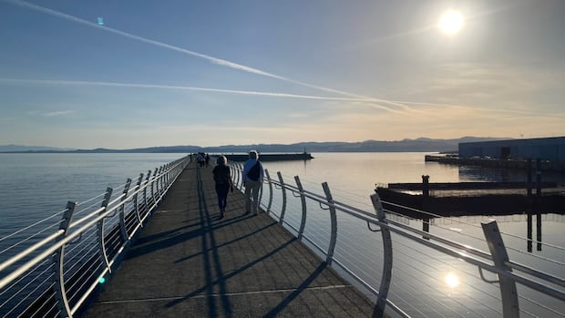 victoria,-saanich-to-work-on-amalgation-question-for-next-municipal-election